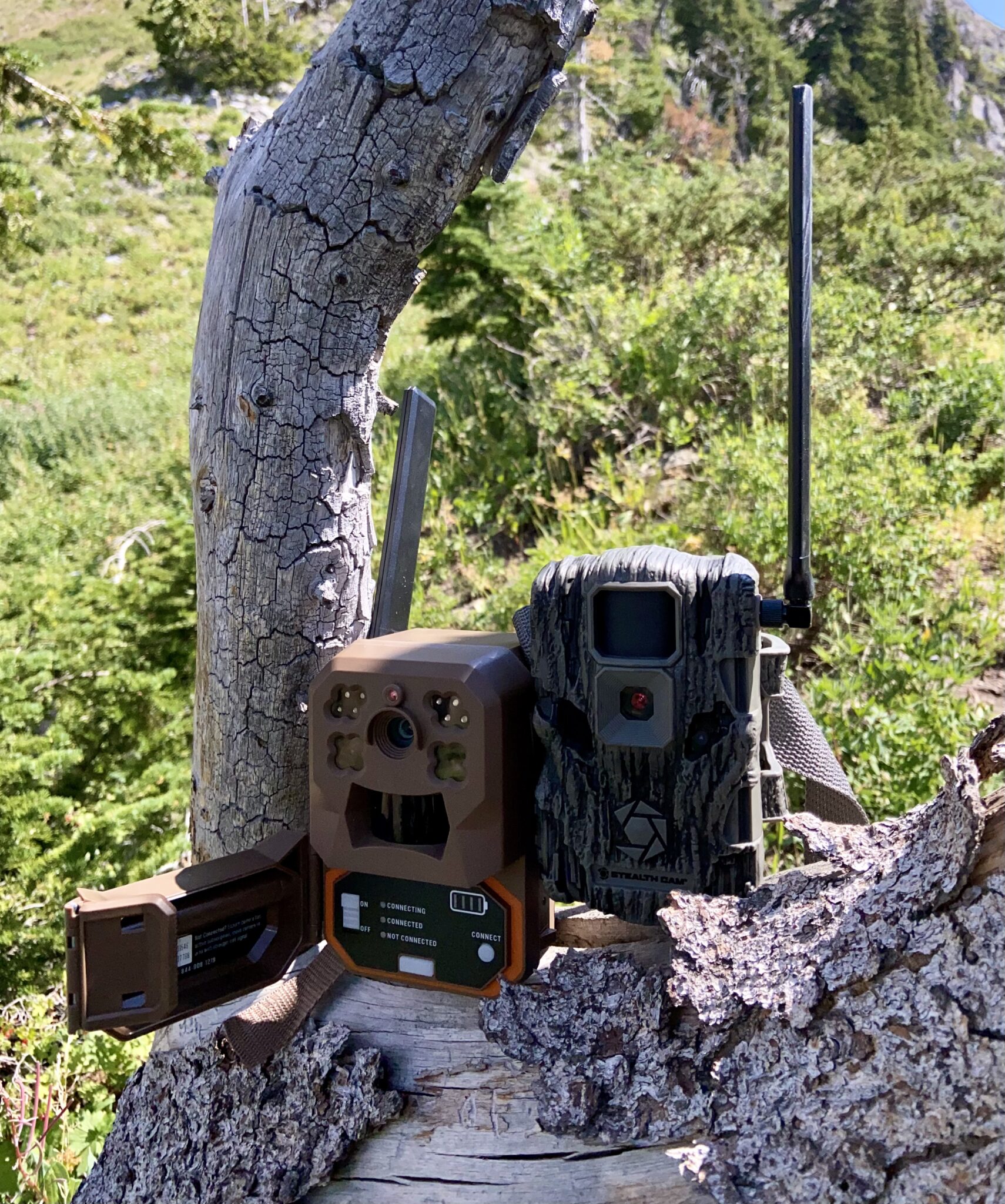 Moultrie Mobile® Edge Pro Cellular Camera