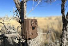 Moultrie Mobile Edge Cellular Trail Camera Review