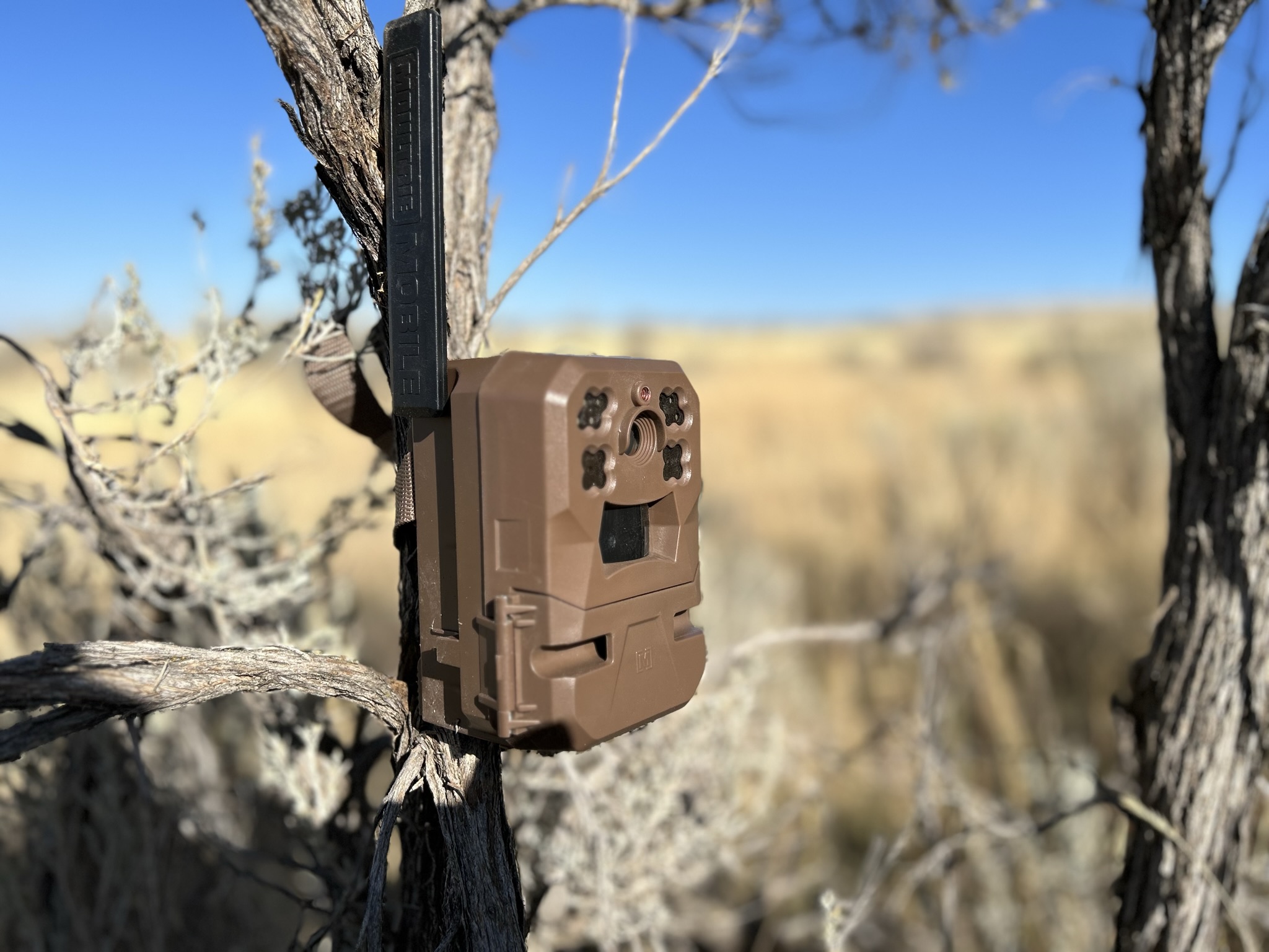 Moultrie Mobile® Edge Pro Cellular Trail Camera