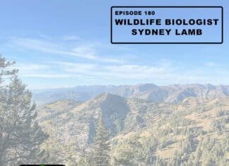 Chatting with Wildlife Biologist, Sydney Lamb