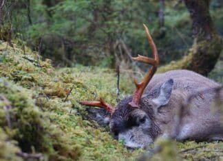 To Move Or Not To Move