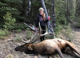 Annabelle’s Long Day