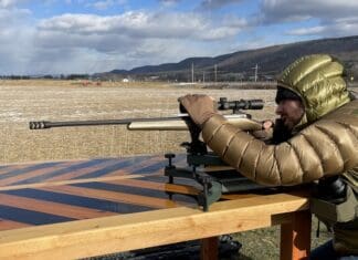 Forge Carbon Stocks Review