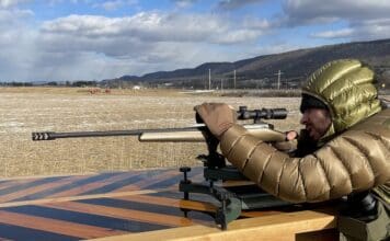 Forge Carbon Stocks Review