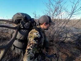 Stone Glacier Terminus Review