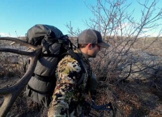 Stone Glacier Terminus Review