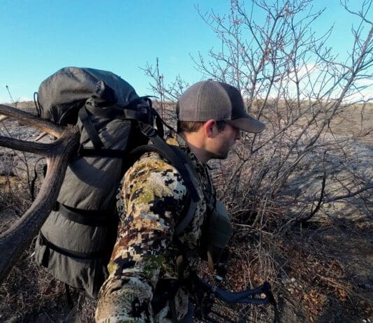 Stone Glacier Terminus Review