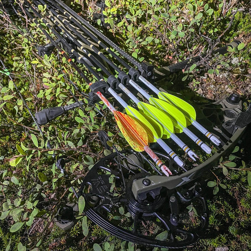 Hunting bow shop and arrow set