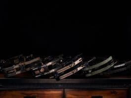 Head to Head Bow Test: Part 2