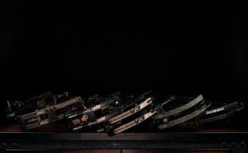 Head to Head Bow Test: Part 2