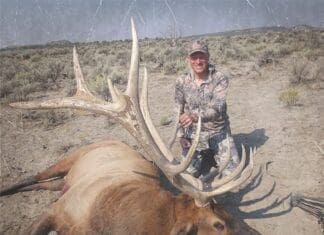 Tipsy Tuesday: Elk Film, Gear, News, & More!