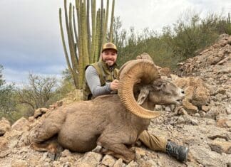 OtoPro SoundGear Phantom and Impulse Review