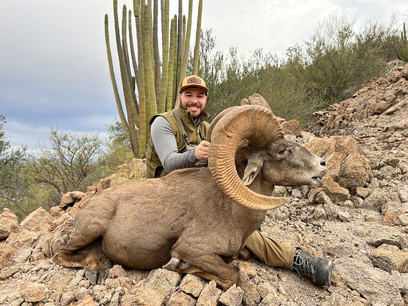 Sheep Hunting Success!