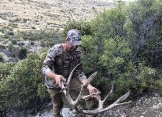 Big Big Bucks! with Jason Carter