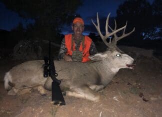 Tipsy Tuesday: Stress and Pressure of drawing a great tag, Latest draw news, Gear reviews, Western hunting news