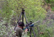 Tipsy Tuesday: Tripods, Latest Draw news, Gear Reviews, Western Hunting News