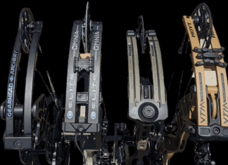 Head-To-Head Bow Test 2023