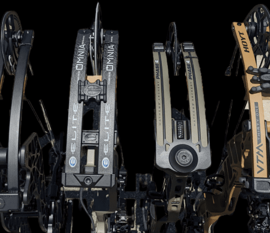 Head-To-Head Bow Test 2023