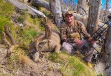 Archery Mule Deer Hunts!