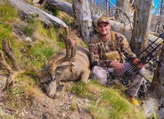 Archery Mule Deer Hunts!