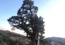 Tipsy Tuesday: Altitude Sickness Signs and Symptoms, Latest Draw News, Gear Reviews, Western Hunting News Altitude Sickness