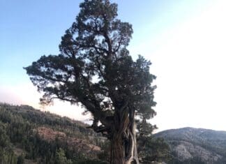 Tipsy Tuesday: Altitude Sickness Signs and Symptoms, Latest Draw News, Gear Reviews, Western Hunting News Altitude Sickness