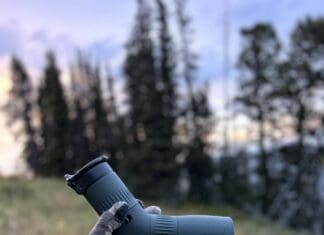 The A.D.D Episode: Swarovski ATC, Meet Sam, & HBMD