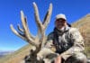The Mule Deer Stalker