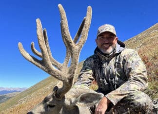 The Mule Deer Stalker