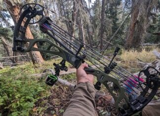 Elite Era Bow Review