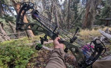 Elite Era Bow Review