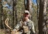 PSE Mach 34 Review Sams Whitetail