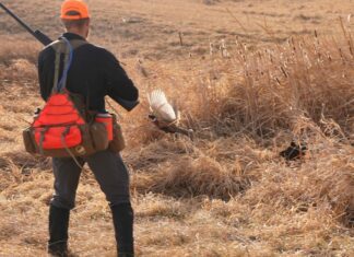 Final Rise Summit XT Vest System Review