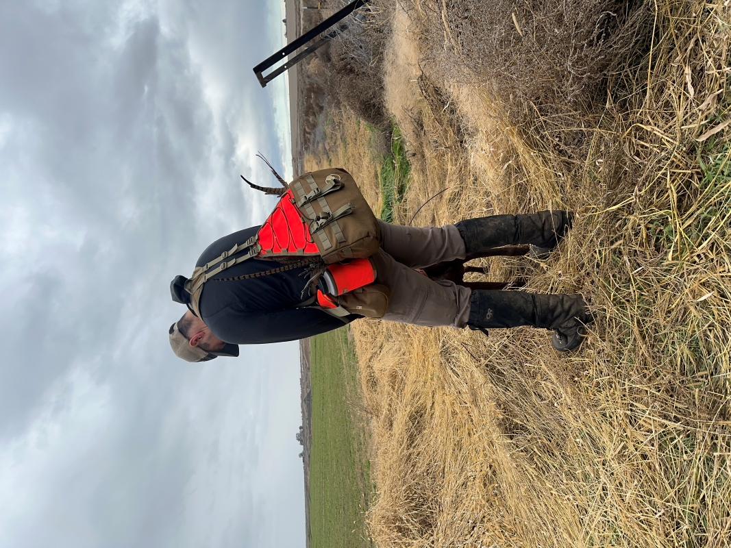 Pheasant hunting with the Crispi Shimek GTX