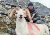 TT#24 Guide Josh Ellis and Hunting Alaska Josh Ellis Tipsy Tuesday