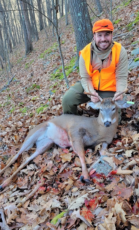 Whitetail Buck