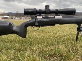 Echelon CF Versa Ultralight Stock Review