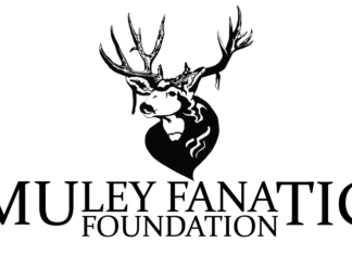 How to be a Muley Fanatic