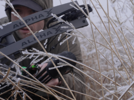 Hoyt Alpha X Bow Review