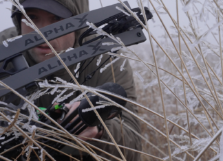 Hoyt Alpha X Bow Review