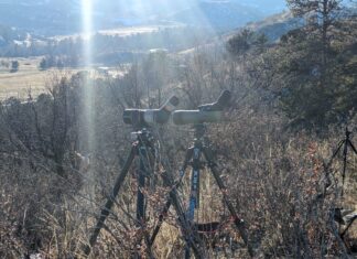 The Rokslide Members’ GIANT Optics Review