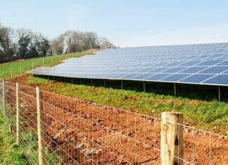 Mule Deer Migration Routes with TRCP