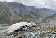 TT#26 Kyle Virgin and the infamous Hobbit Rifle Hobbit Rifle