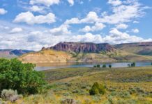 Gunnison Mule Deer and Beyond with Brandon Diamond