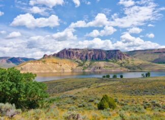 Gunnison Mule Deer and Beyond with Brandon Diamond
