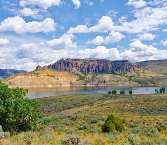 Gunnison Mule Deer and Beyond with Brandon Diamond