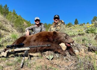 TT#28 Idaho Bear Hunting with Roger Holscher and Chris Young Tipsy Tuesday Idaho Bear