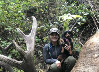 Rocky Mountain Big Game Recovery Tracking Dog Finds Elk