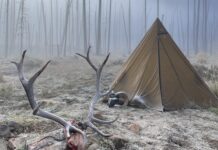 Best State for Elk Hunting: Idaho vs. Wyoming