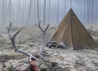 Best State for Elk Hunting: Idaho vs. Wyoming